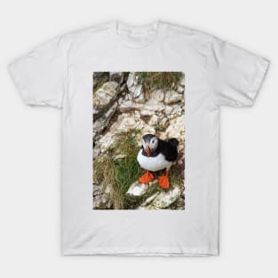 Puffin on a cliff edge T-Shirt